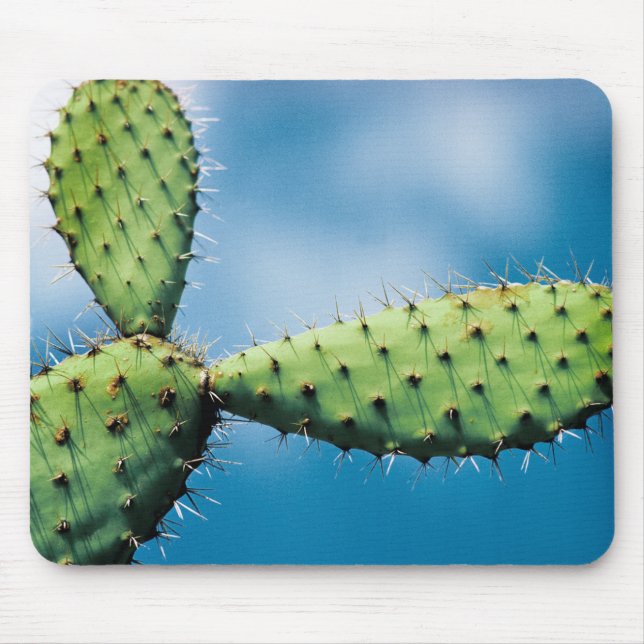 Mousepad Cacto de Prickley (Frente)