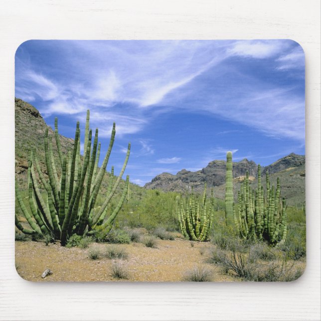 Mousepad Cacto do deserto no Monumento Nacional Organ Pipe, (Frente)