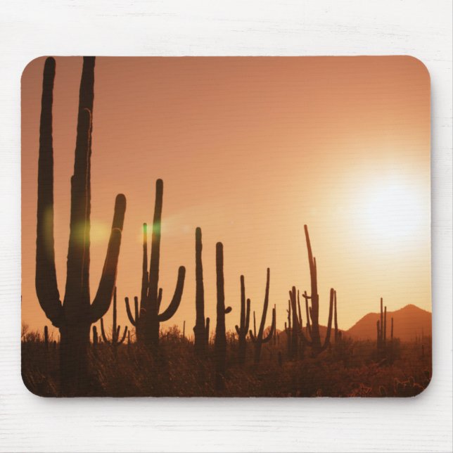 Mousepad Cacto no deserto (Frente)
