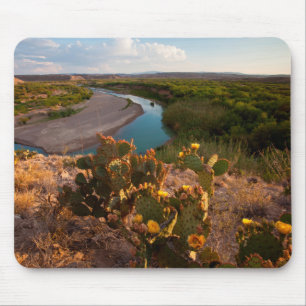 Mousepad Cacto Pêra Espinhosa (Opuntia Sp.)