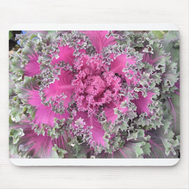 Mousepad Cactus (Frente)