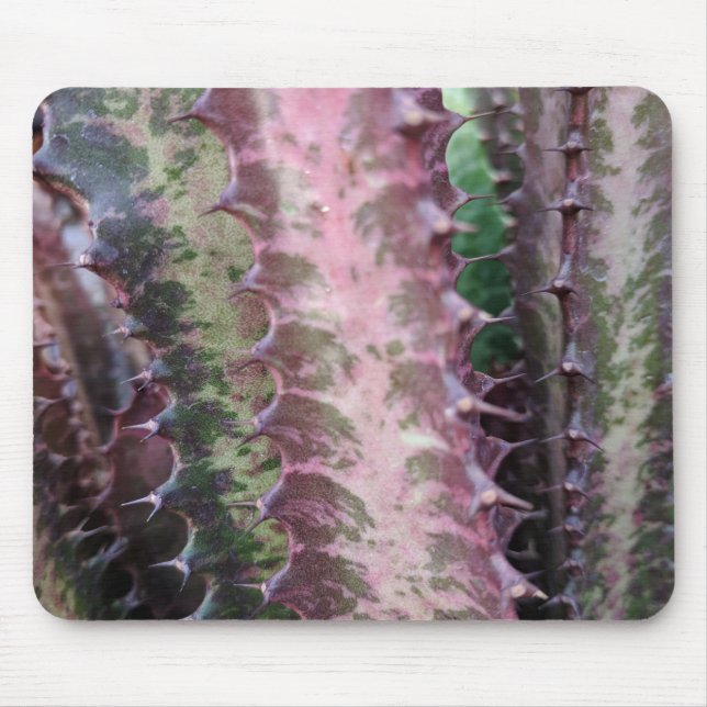 Mousepad Cactus (Frente)