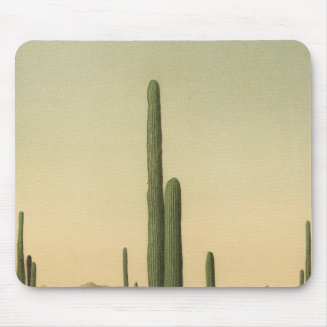 Mousepad Cactus grove, Arizona (Frente)