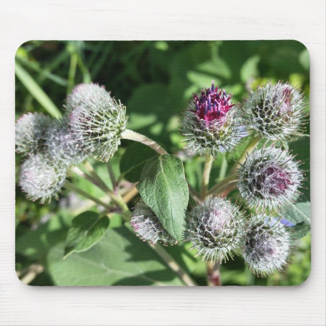 Mousepad cadarço por cima do caroço (Frente)