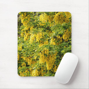 Mousepad Cadeia de Ouros/Árvore Laburnum