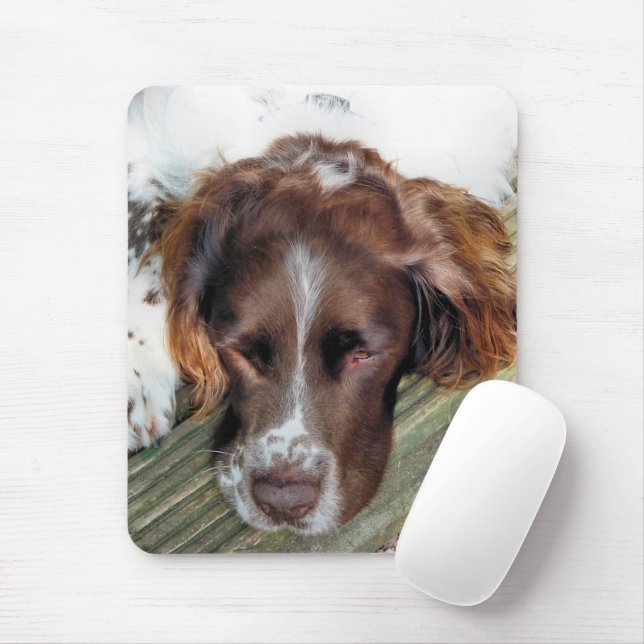 MOUSEPAD CÃES (Com mouse)