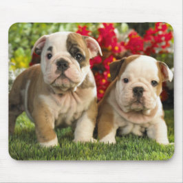 Mousepad Cães Cachorros Cachorros Cachorros