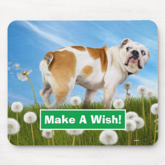 Mousepad Cães com Dandelion