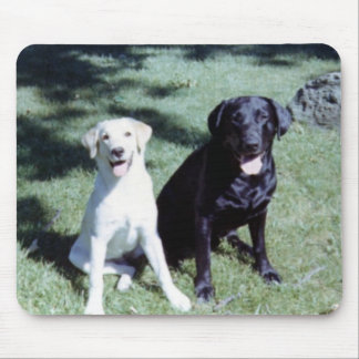 Mousepad Cães de Labrador