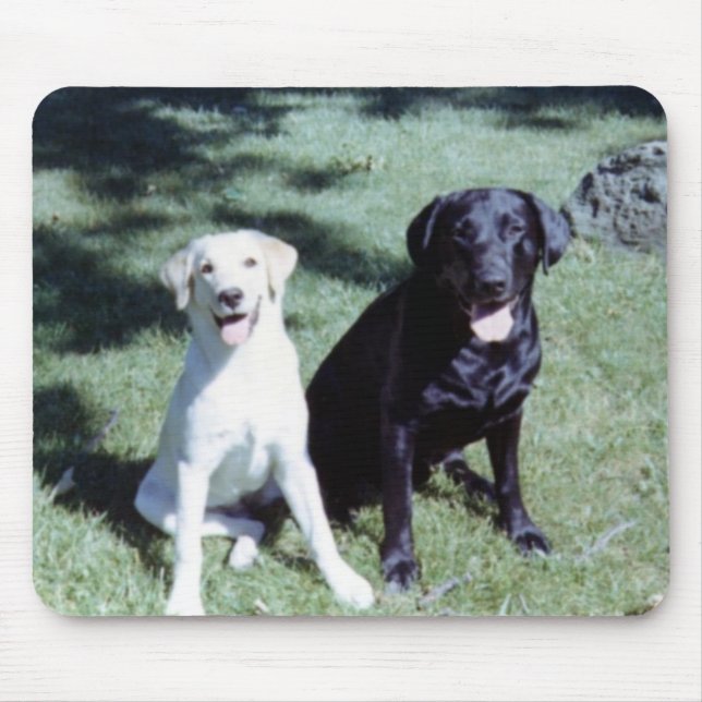 Mousepad Cães de Labrador (Frente)