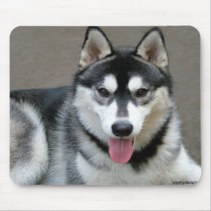 Mousepad Cães do Malamute do Alasca