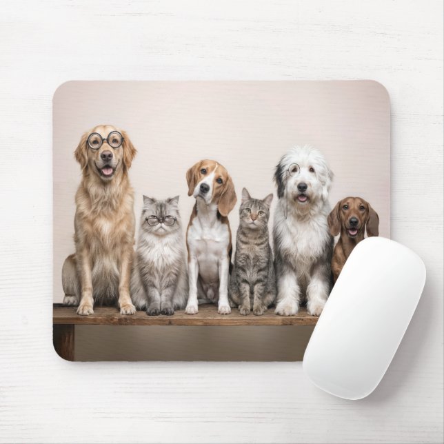 Mousepad Cães e Gatos com Óculos Excêntricos (Com mouse)
