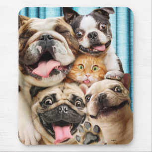 Mousepad Cães e uma Foto de Grupo de Gatos