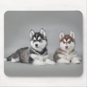 Mousepad Cãezinhos-de-casca-siberiana