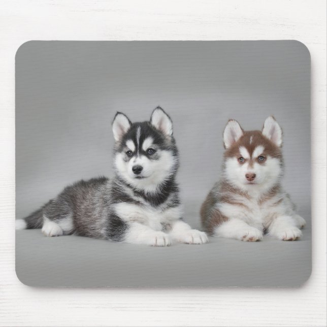 Mousepad Cãezinhos-de-casca-siberiana (Frente)