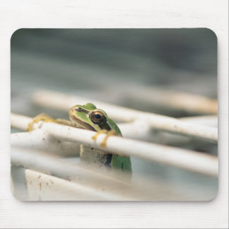 Mousepad Cair dentro lá!