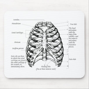 Mousepad Caixa torácica