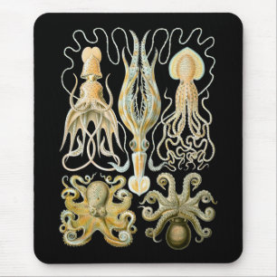 Mousepad Calamar & polvo