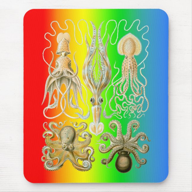 Mousepad Calamares e Octopods (Frente)