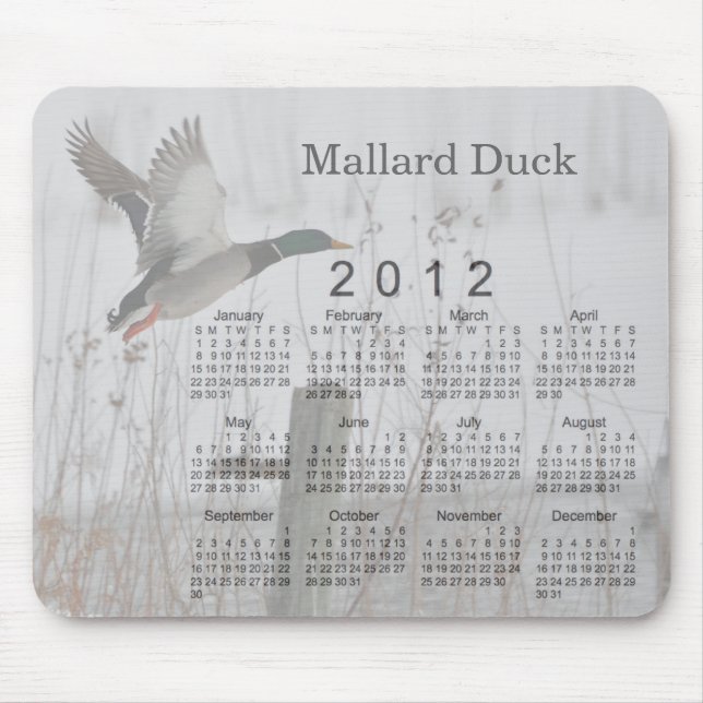 Mousepad Calendário 2012 do pássaro (Frente)