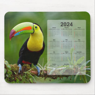 Mousepad Calendário Bela e Colorida do Toco Tropical 2024