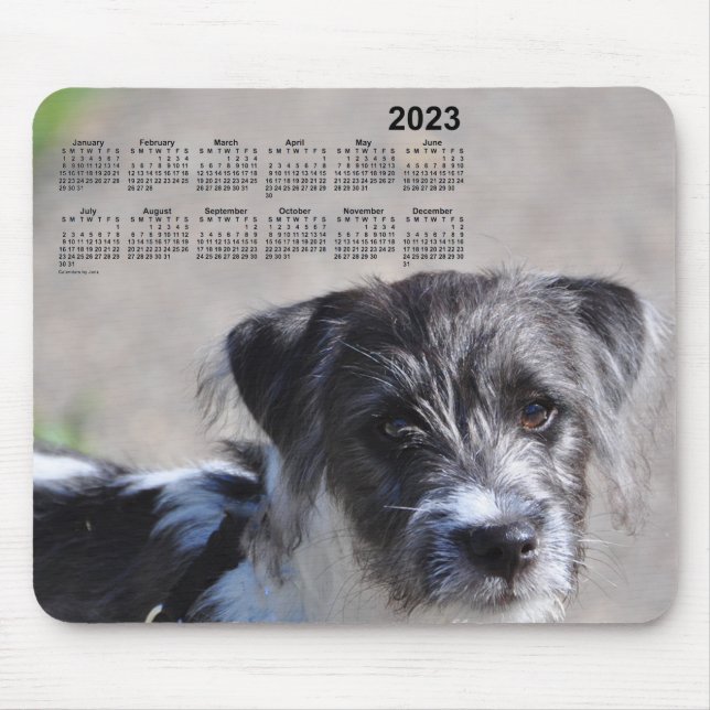 Mousepad Calendário de 2023 para as cópias de Janz Jack Rus (Frente)