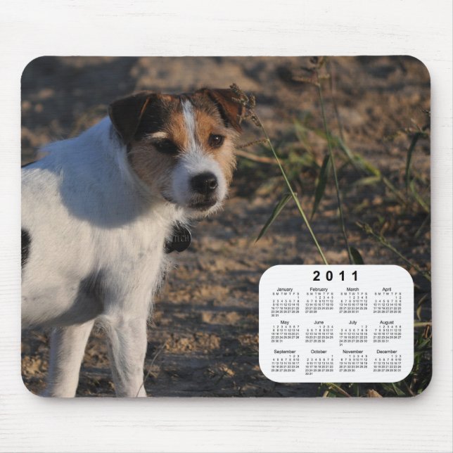 Mousepad Calendário de Cães 2011 - Parson Jack Russell Terr (Frente)