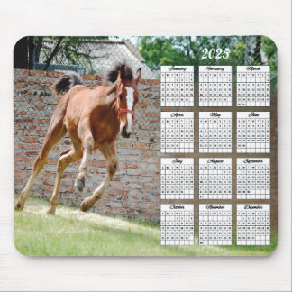 Mousepad Calendário de Execução de Colt 2025