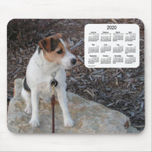 Mousepad Calendário dos cães Jack Russell Terrier 2020 po