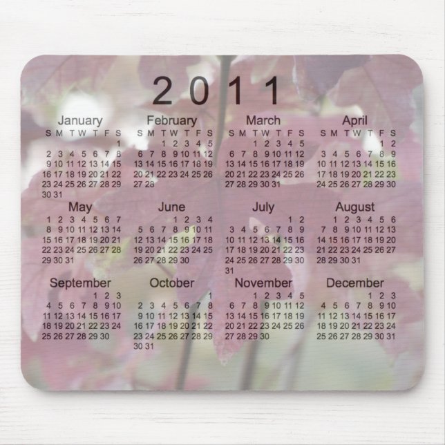 Mousepad Calendário Paisagístico 2011 (Frente)