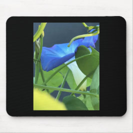 Mousepad Cálice-de-glória-da-manhã-azul