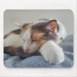 Mousepad Calico adormecido