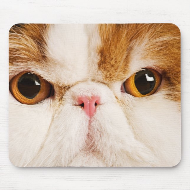 Mousepad Calico Harlequin Persa (Frente)