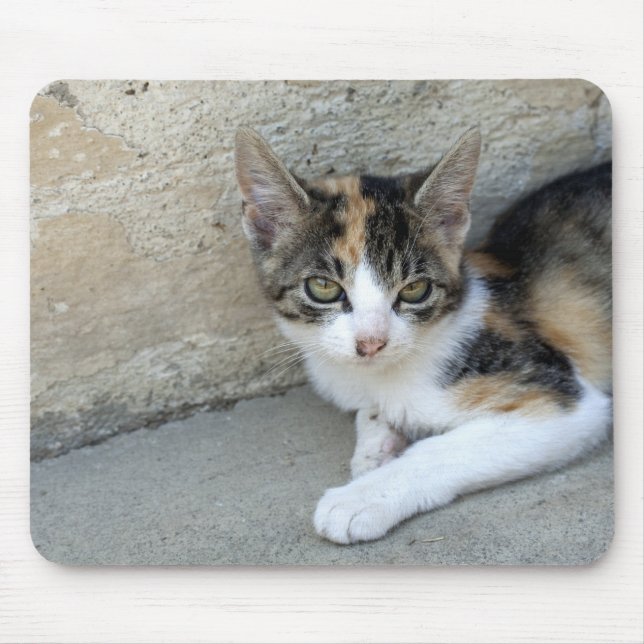 Mousepad Calico Kitten (Frente)