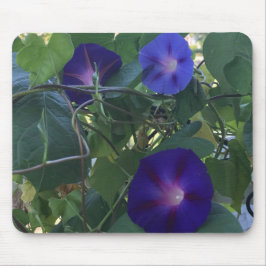 Mousepad Calidoscópio de Ipomoea em Close-up