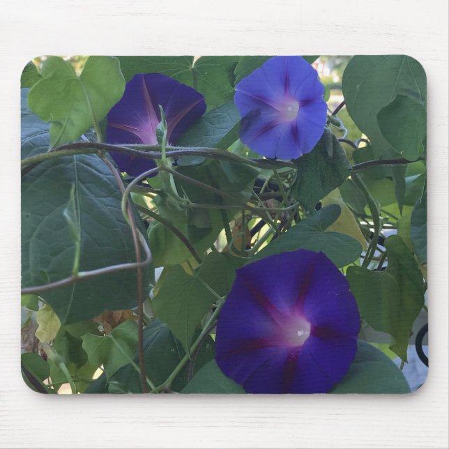 Mousepad Calidoscópio de Ipomoea em Close-up  (Frente)