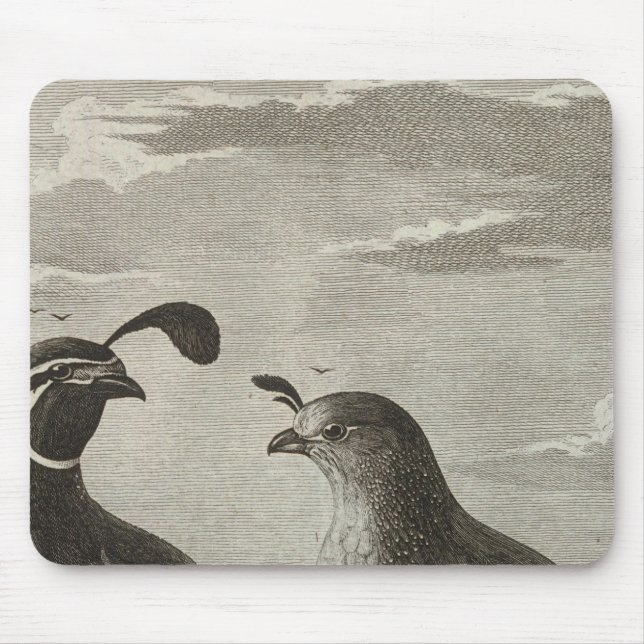 Mousepad Califórnia (Frente)