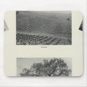 Mousepad Califórnia 4