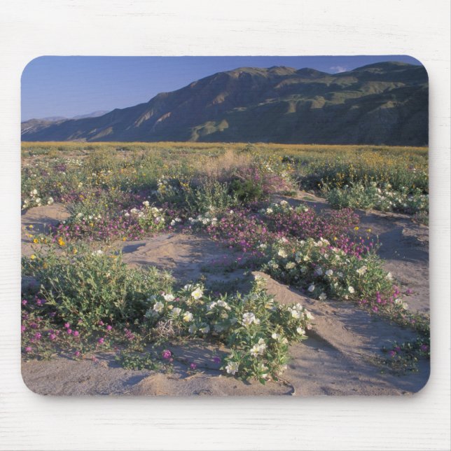 Mousepad Califórnia, Anza-Borrego Desert SP, Areia (Frente)