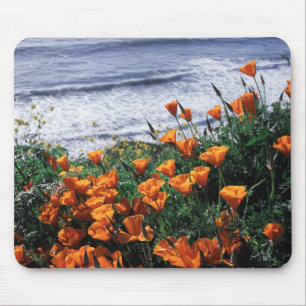 Mousepad Califórnia, Costa Big Sur, Papoula da Califórnia