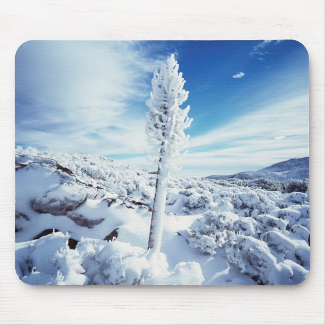 Mousepad Califórnia, Parque Estadual do Deserto de Anza Bor (Frente)