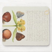 Caligrafia, Jerusalém e feijão