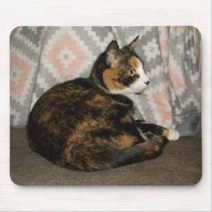 Mousepad Callie Cat em Sofa
