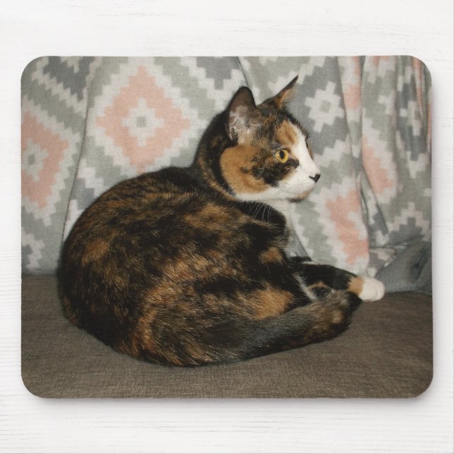 Mousepad Callie Cat em Sofa (Frente)
