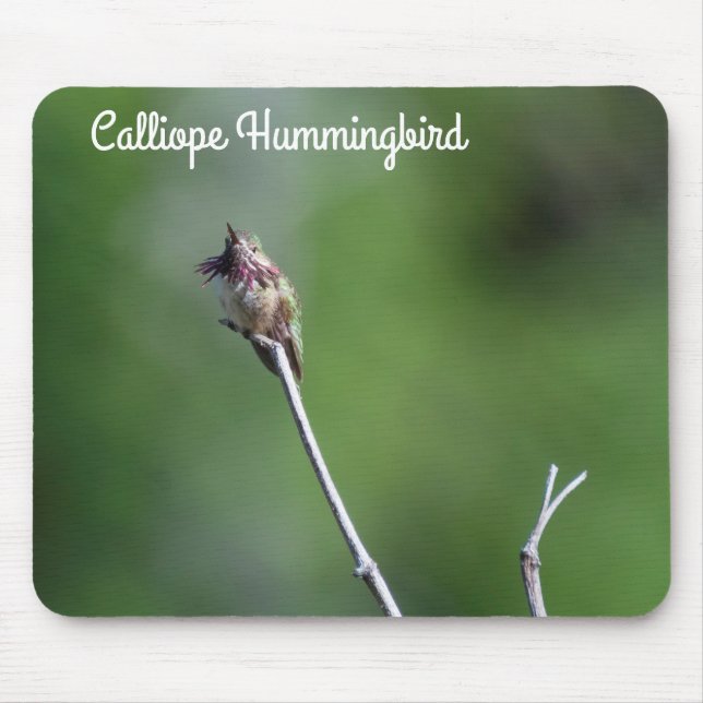 Mousepad Calliope Hummingbird (Frente)