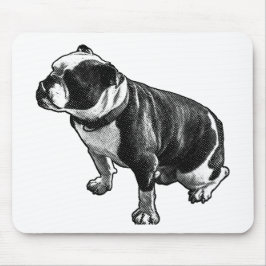 Mousepad Calmo em Movimento
