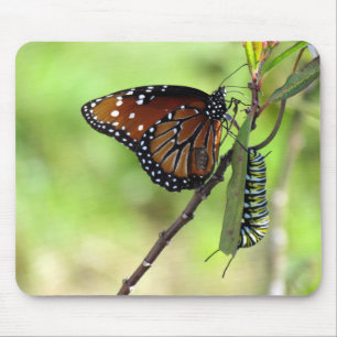 Mousepad Camada de Mouse Rainha Borboleta e Monarca