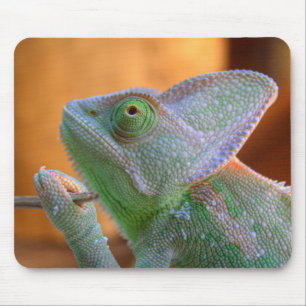 Mousepad Camaleão