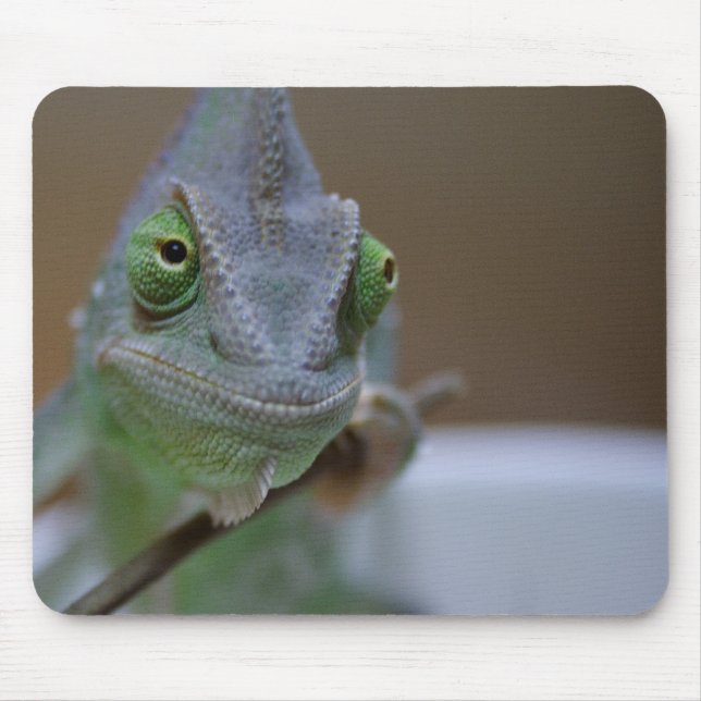 Mousepad Camaleão (Frente)