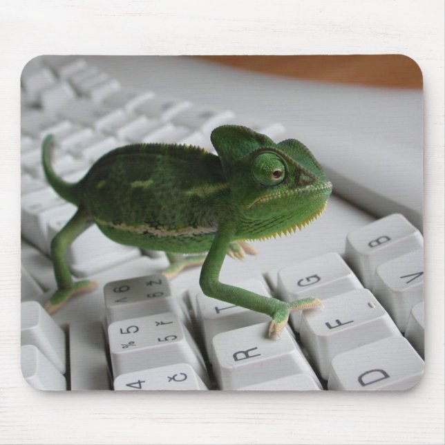 Mousepad Camaleão no teclado (Frente)